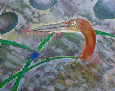 Goliath Heron, 2025